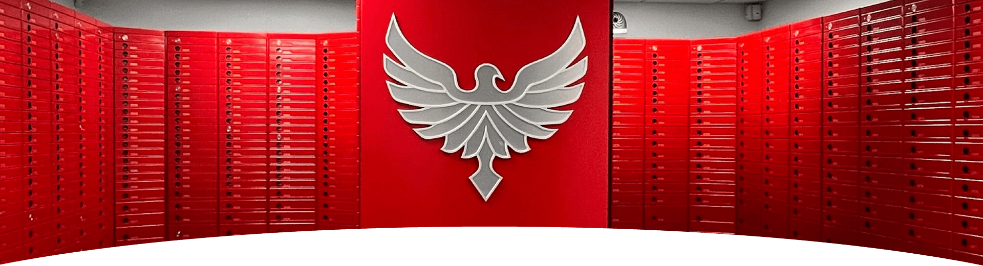 Casete pentru depozitarea obiectelor de valoare